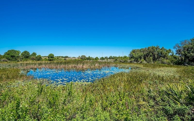 Conservation1